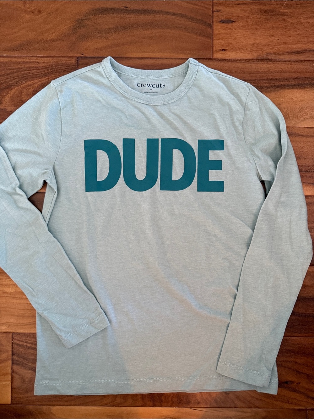 Crewcuts Light Blue Long-Sleeve Shirt with Teal 'DUDE' Print